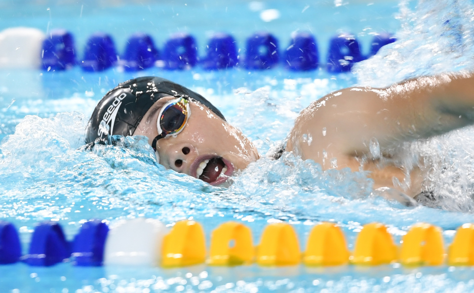 新华社记者, Ppt 新华社记者, Ppt